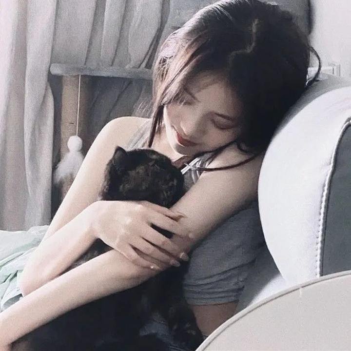 昆仑劫之鲛人泪 封面